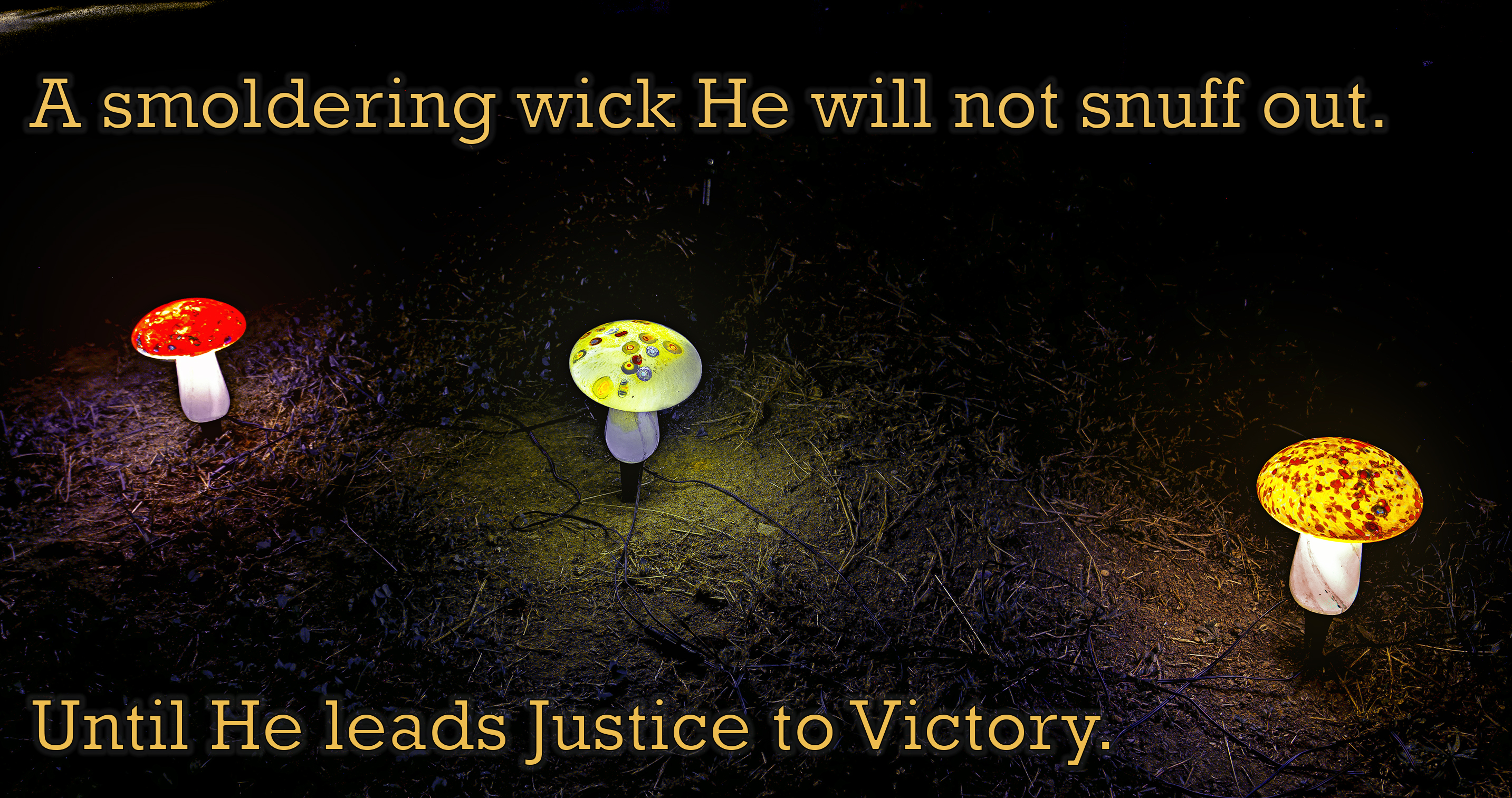 Joshs_Glowing_Mushrums_Words_003